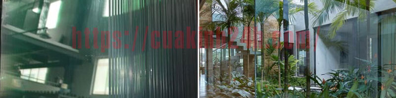 catkinhcuonglucbinhduong9