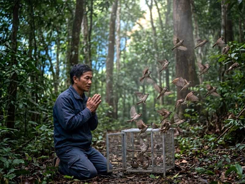 Làm nhiều việc thiện như phóng sanh sẽ giúp bạn hoá giải các tai hoạ sắp tới do tổn phước